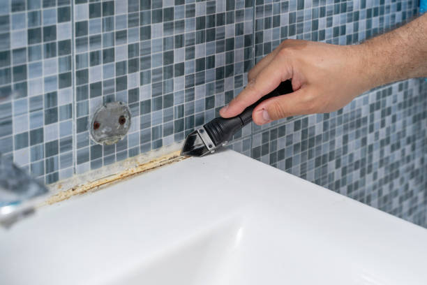 Best Residential Mold Remediation in Navajo, NM